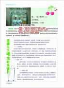石家庄天使护士学校毕业生贾丹丹